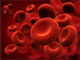 Blood Chemistry Analysis, learn what your numbers mean nutritionally