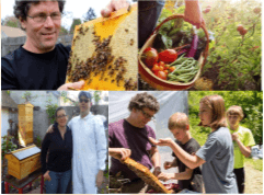 Urban Bees and Gardens