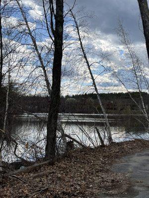 Wildlife in Hager Pond behind Wayside Country Store  Part Country Store from 1790 part Old Time Candy Shop  in Marlborough MA.