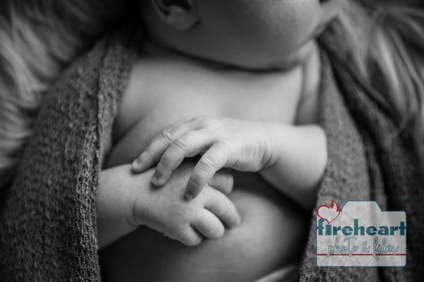 Newborn Portraits