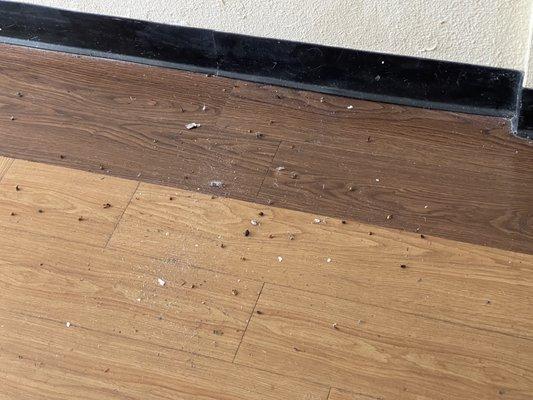 Pile of bugs swept up by staff and left in hallway outside mother's door and left for approx 4 days.