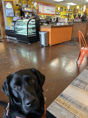 Fiona's attention stays on me while we enjoy some calm minutes at the coffee shop.