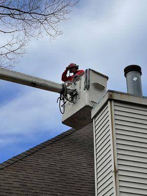 Able Tree Service