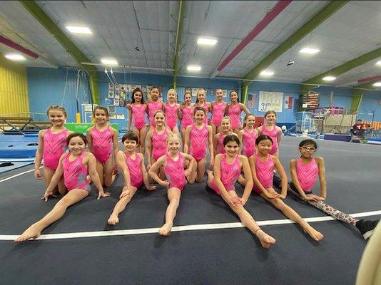 Optional gymnasts after Pink meet