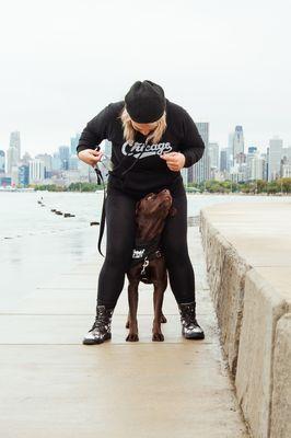 Trick training benefits the relationship between you and your dog in many ways