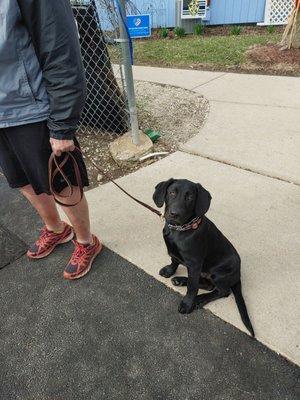 K-9 Guardians Boarding & Training Center