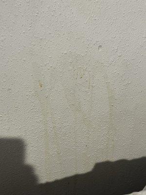 More stains on wall next to bed.