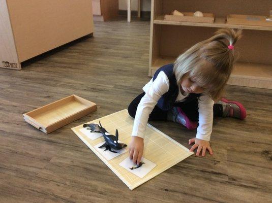 Toddlerhood is a time of astonishing growth and a key time for refining hand-eye coordination through problem-solving.