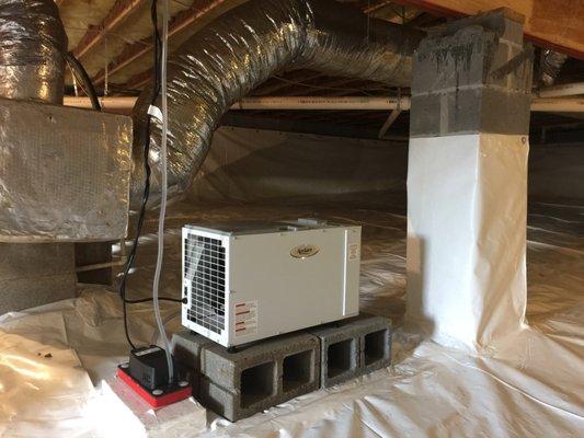 Clean Crawl Space with dehumidifier by Crawl Space Ninja