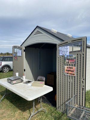 Pumpkin weigh station