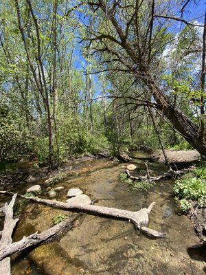 Hull's Gulch Interpretive Trail