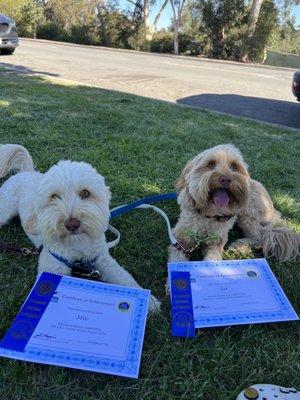 Milo and Jax practicing down stays from CGC class at graduation