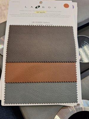 Apollo leather samples