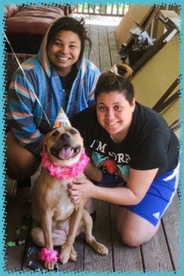 My dog and her forever home. Photo taken for her birthday before I was injured.