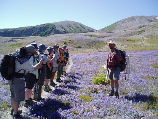 Incredible wildflower displays in the height of summer.