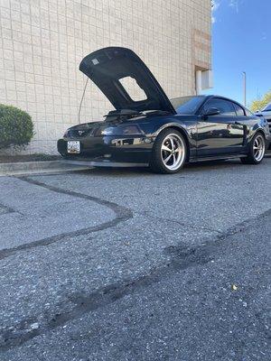 2004 Mach 1 in for a hanging idle diagnoses and tune up.