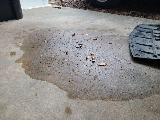 The driveway oil stain