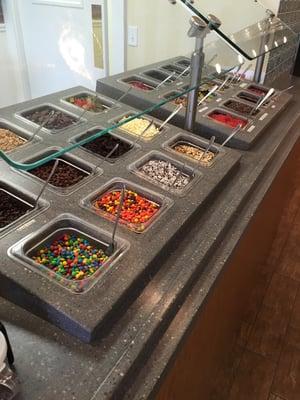 Yummy toppings for frozen yogurt!