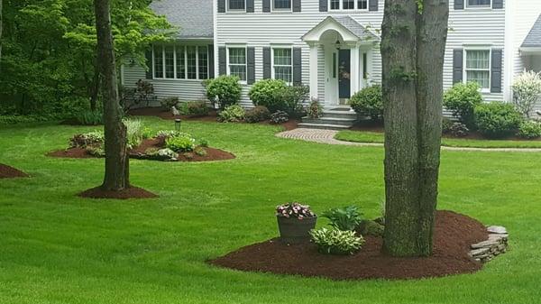 Recent mulching in the front yard of one of our clients. Curb Appeal!
 05/2016