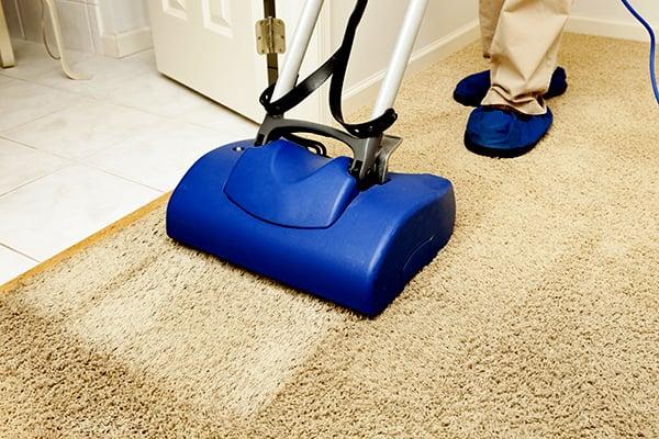 Carpet Cleaning