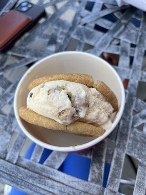 Cookie dough ice cream between snickerdoodle cookies