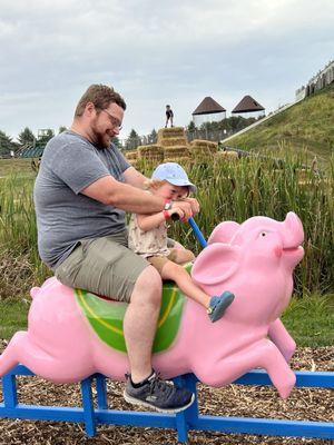 Pig rides