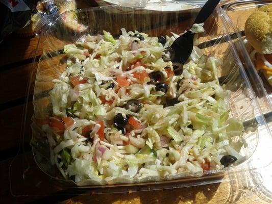 Browser salad.  Shredded iceberg, black olives, tomatoes, red onion, and monterey jack (?) cheese.  Wrong choice of lettuce IMO.