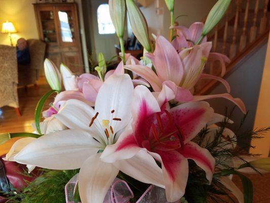 Lilies