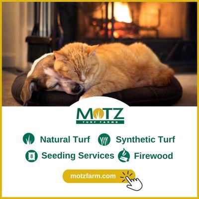 Motz Turf Farms