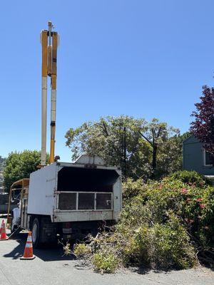 Mack Tree Company Bucket Truck work