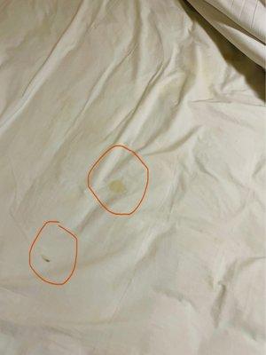 Stained dirty bed sheets