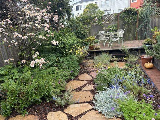 Raised patio surrounded by flowering native plants