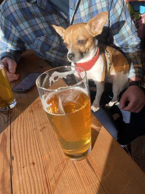 Having an Imperial Double IPA with the pup.