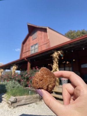 The Farmer's House Market