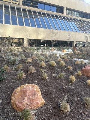 Outside oc the Unemployment Office withibg the Colorado Dept of Labor.