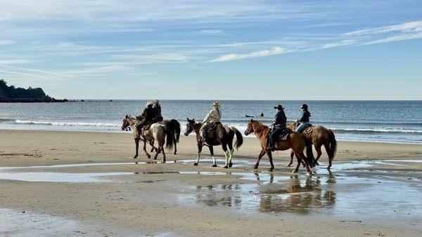 Horses on the beach