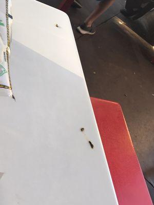 Bird poop on tables and crumbs that attract birds. No employee in site to wipe for 1/2 hr!