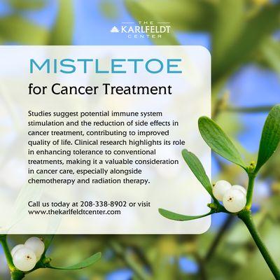 Learn more: https://www.thekarlfeldtcenter.com/mistletoe-for-cancer-treatment/