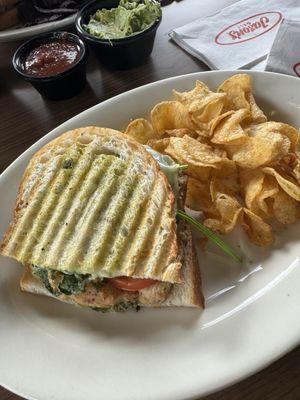 Chicken Panini Regular