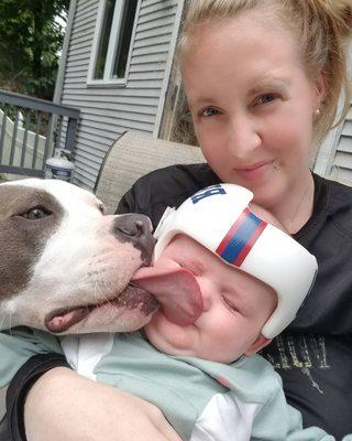 Pitbull puppy with his baby