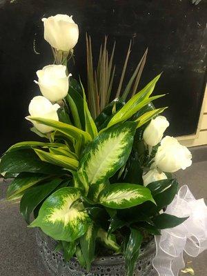 Dish Garden w/ Fresh Cut Flowers