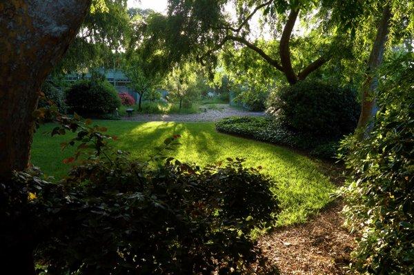 So much greenery here. It's unique in the Bay Area for an apartment to have so  much natural open space.