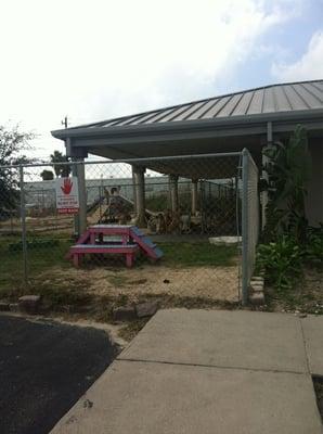 outdoor play area-- dogs waiting to see who is coming next!