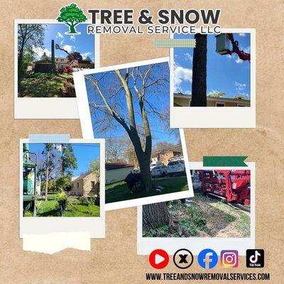 Tree and Snow Removal Service