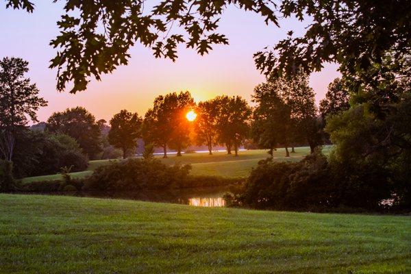 Making beautiful landscapes to put on the walls. Pitsfield Lake, IL