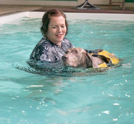 Using hydrotherapy, we help dogs with a variety of health conditions such as injury or surgical recovery, obesity, arthritis and much more.