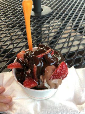 Combo chocolate and vanilla with Oreos, strawberries, and hot fudge