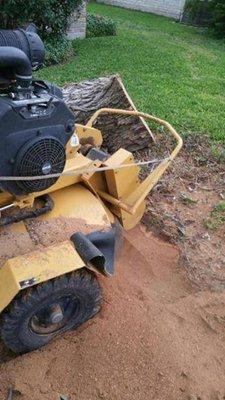 Our grinder had no problem with this large Mesquite stump at a customers house in Annaville.