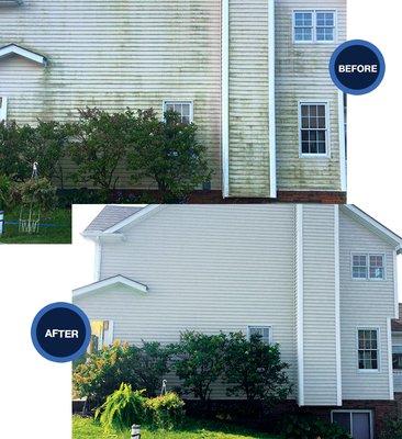 Get rid of mildew on your siding through our Soft Washing process.