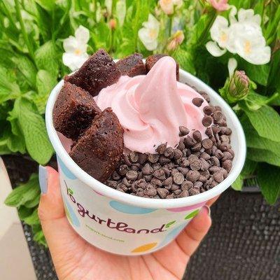 Custom Frozen Yogurt Creation - Strawberry with Chocolate Chips and Brownie Bites